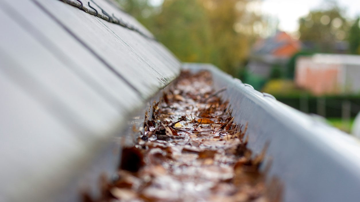 Gutter Cleaning