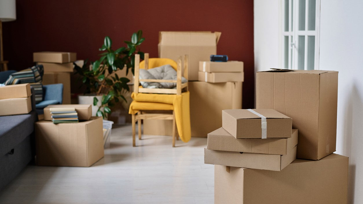 Moving Support