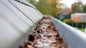 Gutter Cleaning