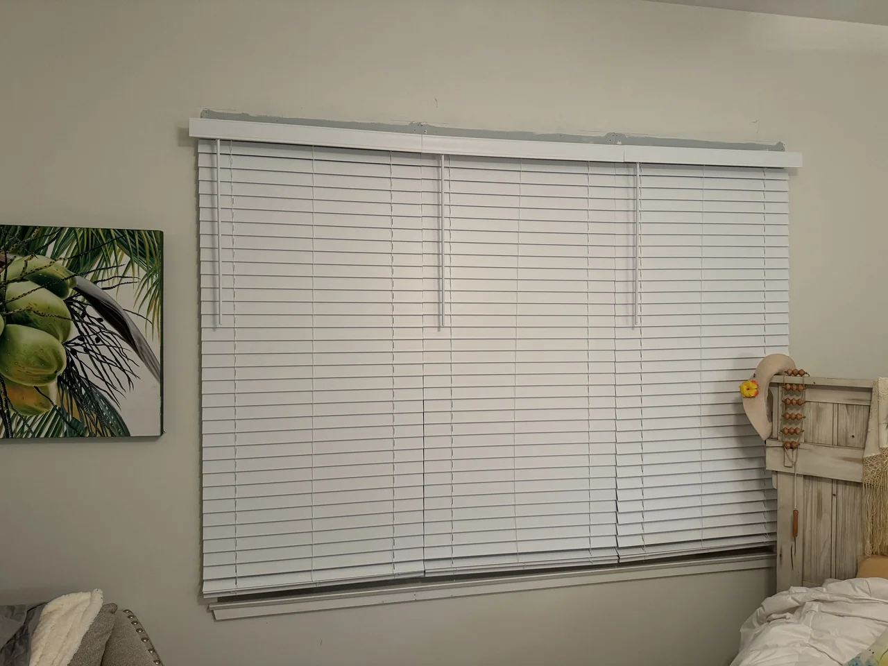 Blind Installation, Carlsbad