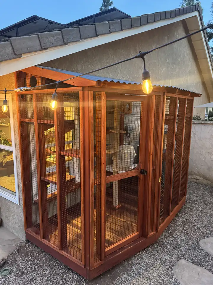 Custom Catio 3, Fallbrook