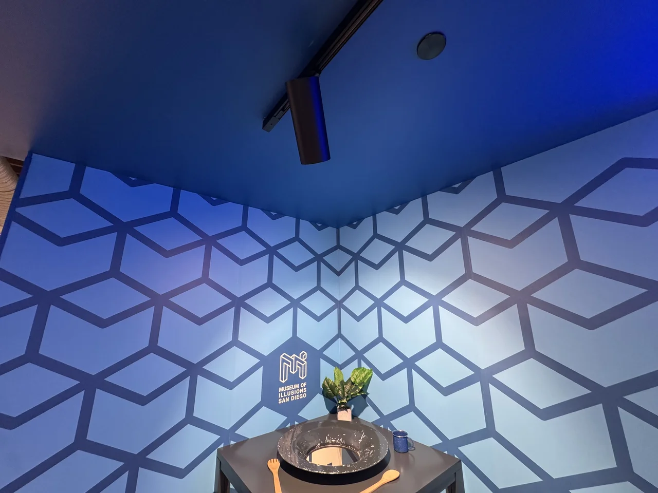 Exhibit Painting, San Diego