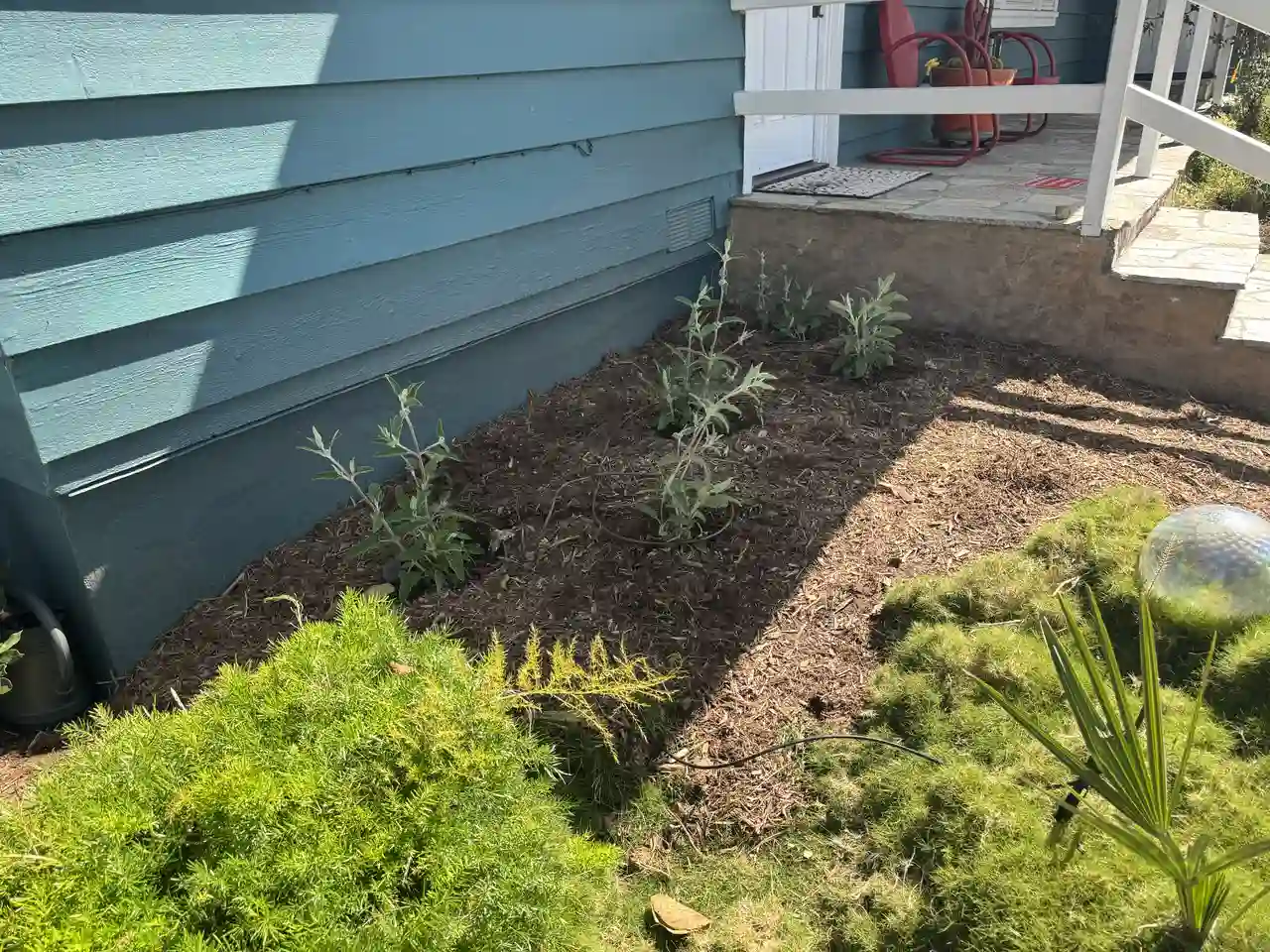 Foundation Sparge Coat Siding Paint 1, Carlsbad