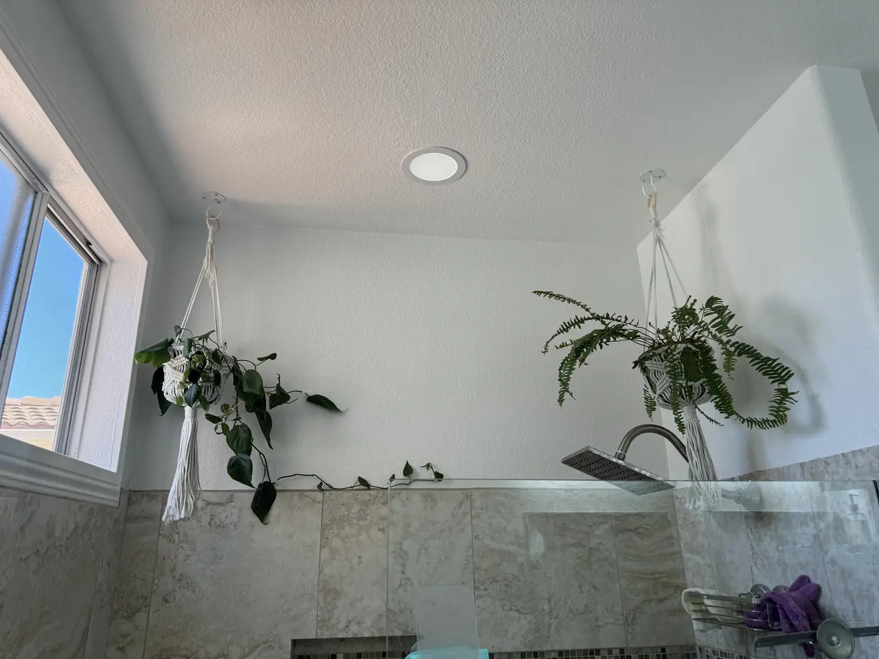 Hanging Flower Pots, San Marcos